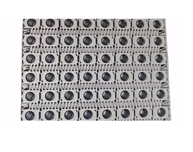 Modular Belt with RTB Roller